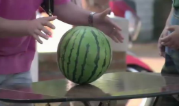 吃独食吃瓜,揭秘吃独食与吃瓜的趣味生活