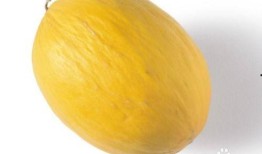 小孩吃哈密瓜的好处,哈密瓜为小孩健康加分