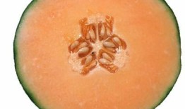 小孩吃哈密瓜的好处,哈密瓜为小孩健康加分