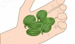 我带你吃瓜诗句,共品吃瓜盛宴