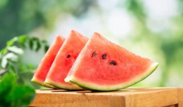 吃独食吃瓜,揭秘吃独食与吃瓜的趣味生活