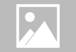 吃瓜少年与猫,一场意外的友谊之旅