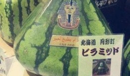 吃瓜群众腻厉害,揭秘网络舆论场的风云变幻