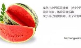 吃瓜中心名师,揭秘吃瓜中心名师背后的故事