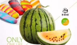 瓜哥吃瓜雪糕,吃瓜雪糕成新潮流