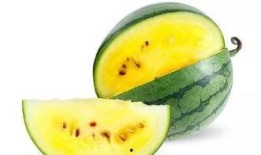 带你吃瓜西瓜视频