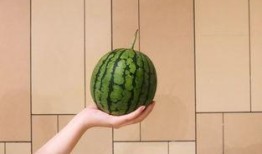 无脑漫展吃瓜,一场狂欢的视觉盛宴