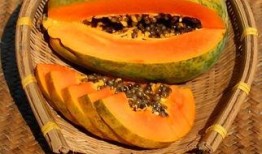 吃瓜隐藏入口,探寻美食世界的秘密通道