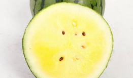 怎么吃特小凤瓜,轻松解锁美味新境界