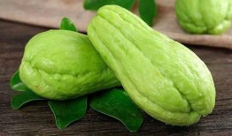 佛手瓜和鸡肉一块吃行吗,营养美味两不误